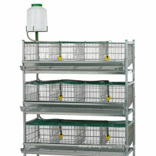 Automatic Quail/chicken farm cage New design quail/chicken layer cage for poultry farm